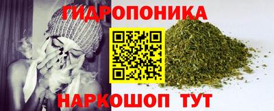 стаф Канаш