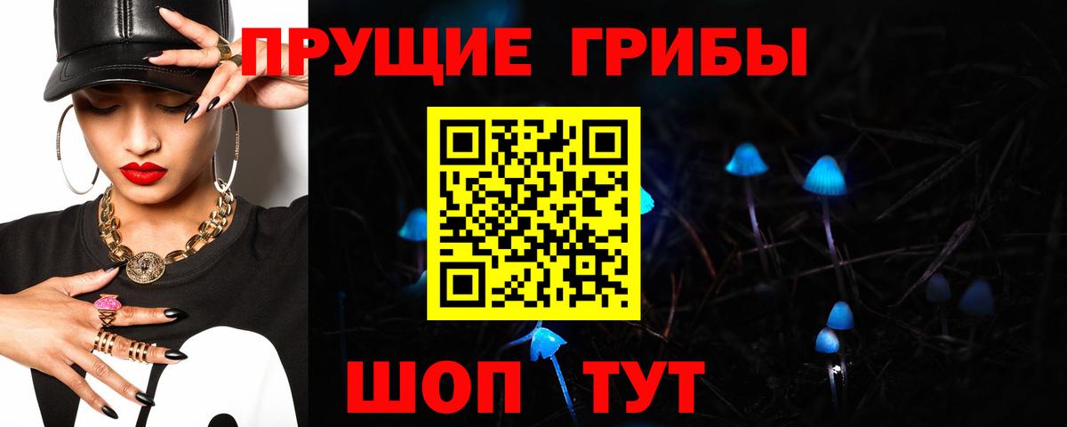 Кстово  Галлюциногенные грибы Psilocybe  Вход с VPN  Псилоцибиновые грибы Psilocybe 